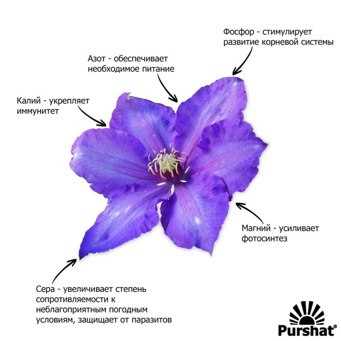 Пуршат-М водорастворимое средство для клематисов, 1кг Пуршат-М водорастворимое средство для клематисов, 1кг