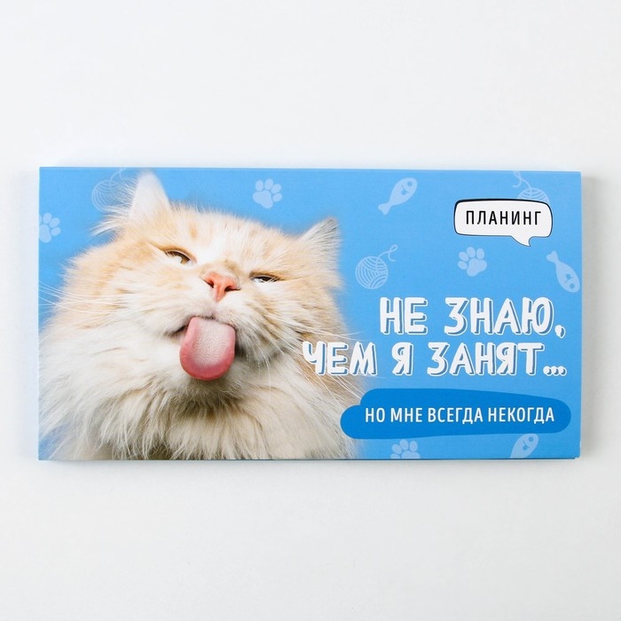 Планинг с отрывными листами &laquo;Кот&raquo;, мягкая обложка, 50 листов