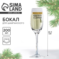 Бокал для шампанского новогодний «В активном поиске новогодних приключений», на Новый год, 200 мл Бокал для шампанского новогодний «В активном поиске новогодних приключений», на Новый год, 200 мл