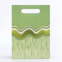 Подарочная коробка-пакет, упаковка с вырубной ручкой, "Зеленая грация" , 19 х 9 х 27 см Подарочная коробка-пакет, упаковка с вырубной ручкой, "Зеленая грация" , 19 х 9 х 27 см