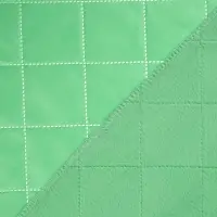 Плед для пикника Soft & Dry 2, светло-зеленый Плед для пикника Soft & Dry 2, светло-зеленый