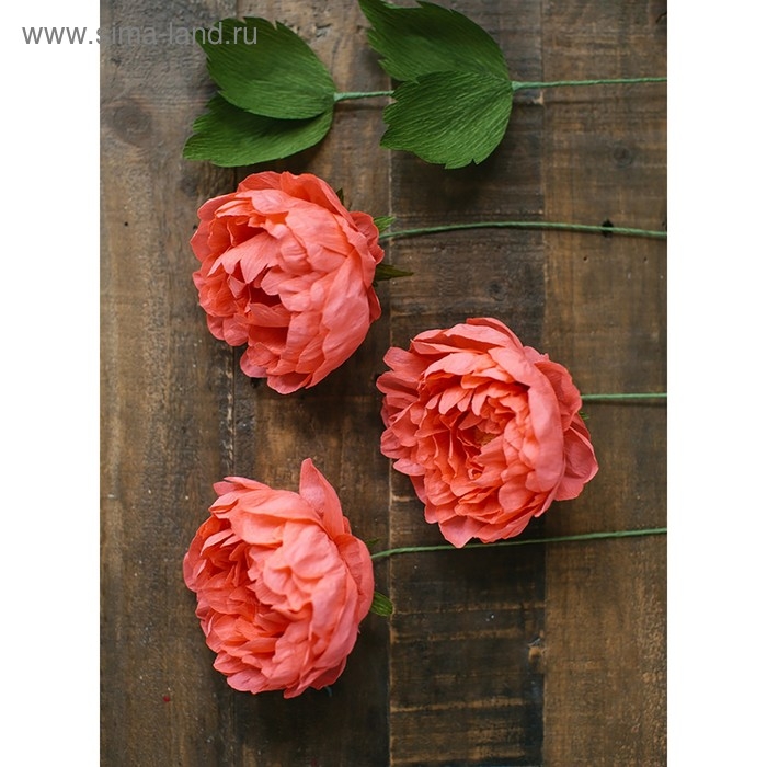 Бумага для упаковки и поделок, гофрированная, розовая, персиковая, однотонная, двусторонняя, рулон 1 шт., 0,5 х 2,5 м Бумага для упаковки и поделок, гофрированная, розовая, персиковая, однотонная, двусторонняя, рулон 1 шт., 0,5 х 2,5 м