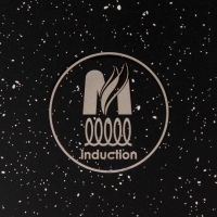 Сковорода «Гранит Black» Induction Pro», d=22 см, пластиковая ручка, индукция, антипригарное покрытие, цвет чёрный Сковорода «Гранит Black» Induction Pro», d=22 см, пластиковая ручка, индукция, антипригарное покрытие, цвет чёрный