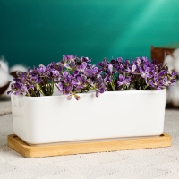 Горшок "Бонсайка" для кактусов и суккулентов, 17х8х6см Горшок "Бонсайка" для кактусов и суккулентов, 17х8х6см