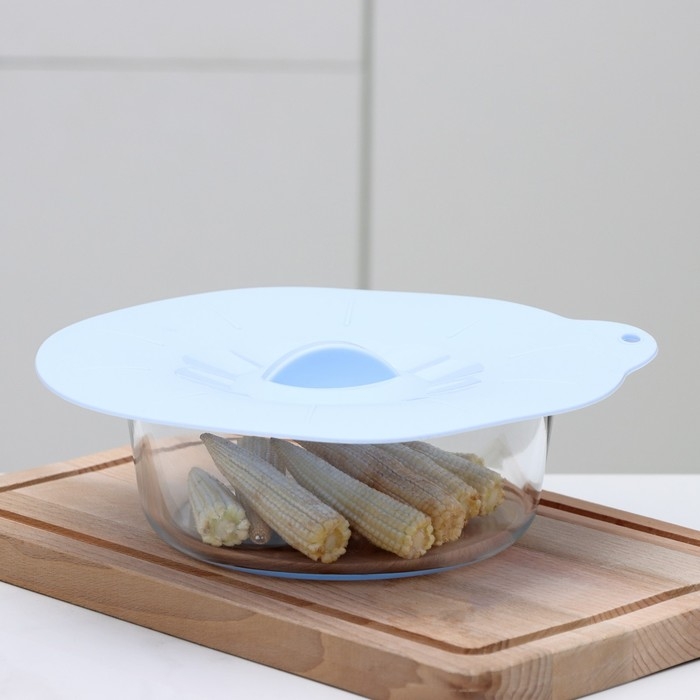 Крышка для хранения Доляна &laquo;Симпл&raquo;, силикон, d=21 см, цвет голубой