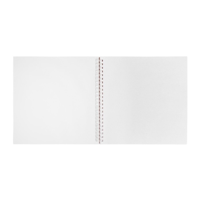 Альбом для акварели 205х205мм Альбом для акварели 205х205мм "ДоброГусь", 20 листов на гребне, 200г/м2, тиснение, жесткая подложка