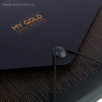 Папка-кратотека 12 отделений, А4, на резинке, deVENTE My gold, 700 мкм