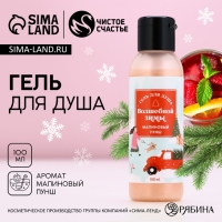 Гель для душа &laquo;Волшебной зимы&raquo;, 100 мл, аромат малиновый пунш, Новый Год