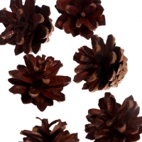 Новогодний набор &laquo;Снежинки&raquo;