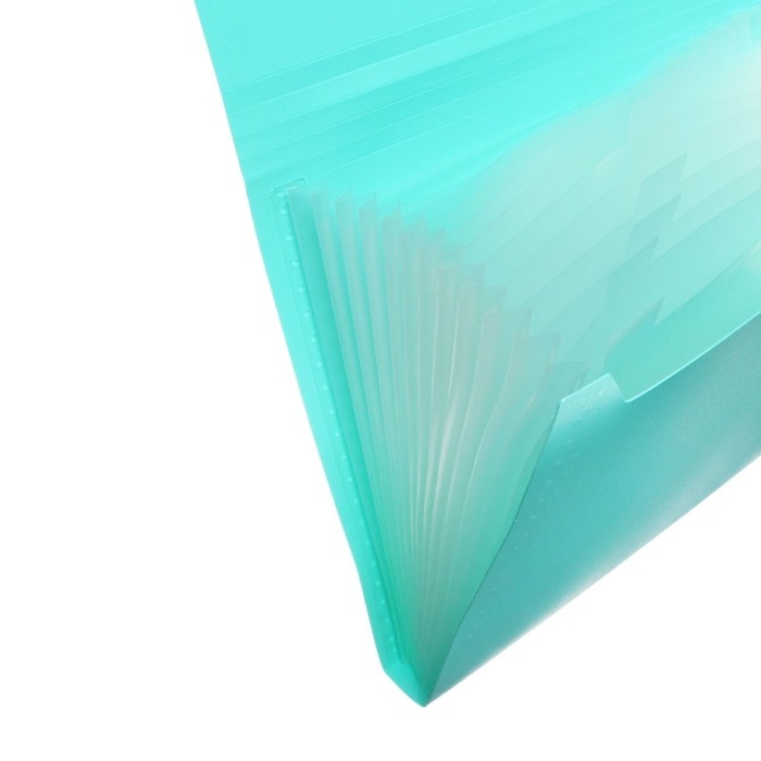 Папка картотека А4, Calligrata Папка картотека А4, Calligrata "Акварель", 13 отделений, пластиковая, 700 мкм, мятная, резинка чёрная