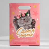 Подарочный набор ежедневник, блок бумаги и ручка «Самая милая» Подарочный набор ежедневник, блок бумаги и ручка «Самая милая»