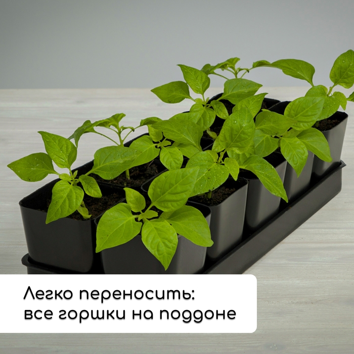 Набор для рассады: стаканы по 700 мл (10 шт.), поддон 44 × 18 см, чёрный, Greengo Набор для рассады: стаканы по 700 мл (10 шт.), поддон 44 × 18 см, чёрный, Greengo
