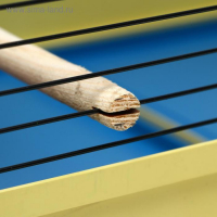 Клетка для птиц "Грация", 49 х 36 х 37 см, микс цветов Клетка для птиц "Грация", 49 х 36 х 37 см, микс цветов