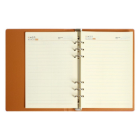 Органайзер на кольцах "Престиж" А5, 92 листа в линейку, обложка кожзам, МИКС Органайзер на кольцах "Престиж" А5, 92 листа в линейку, обложка кожзам, МИКС