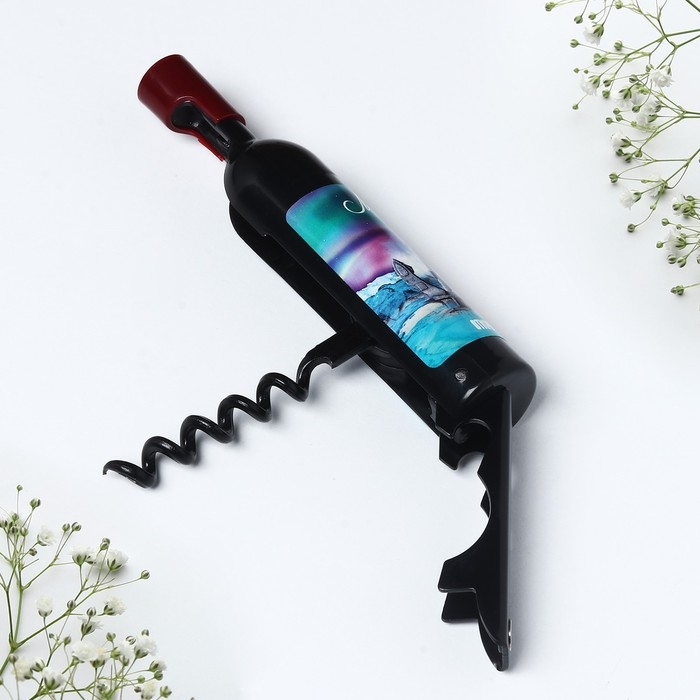 Магнит-открывашка &laquo;Мурманск&raquo;, 2,5 х 11,8 х 2,5 см