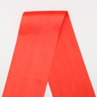 Лента "Выпускник начальной школы", атлас красный с годом 3D Лента "Выпускник начальной школы", атлас красный с годом 3D