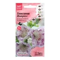 Семена цветов Глоксиния "Импресс F1 Пурпл Споттет", 5 шт Семена цветов Глоксиния "Импресс F1 Пурпл Споттет", 5 шт