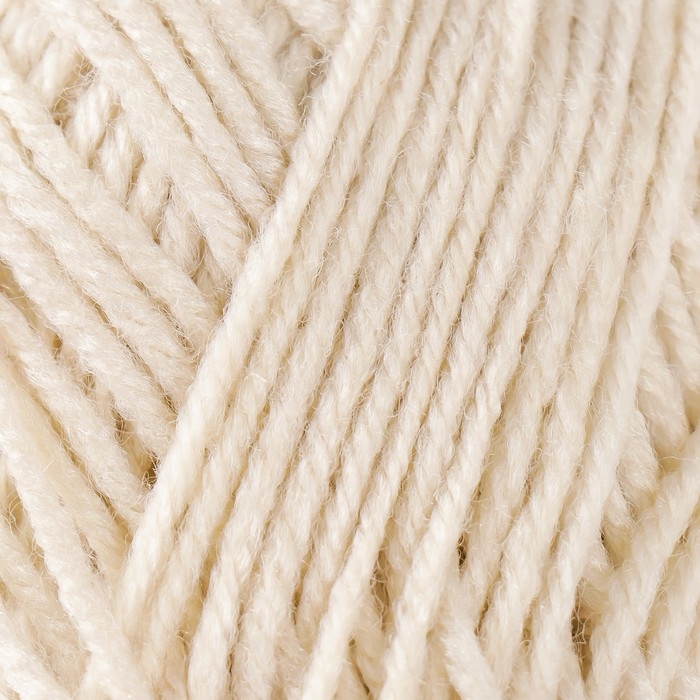 Пряжа 100% акрил "Softy Kids" 90м &plusmn;5м 50 гр цвет 05 бежевый 5443670