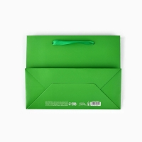 Пакет подарочный &laquo;Яркого настроения&raquo;, голография, MS 18 х 10 х 23 см