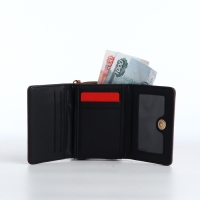 Кошелёк женский на кнопке, цвет коричневый Кошелёк женский на кнопке, цвет коричневый