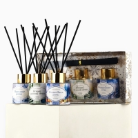 Новый год! Аромадиффузор ароматический палочки &laquo;Новогодняя коллекция: Зимний&raquo;, 50 мл