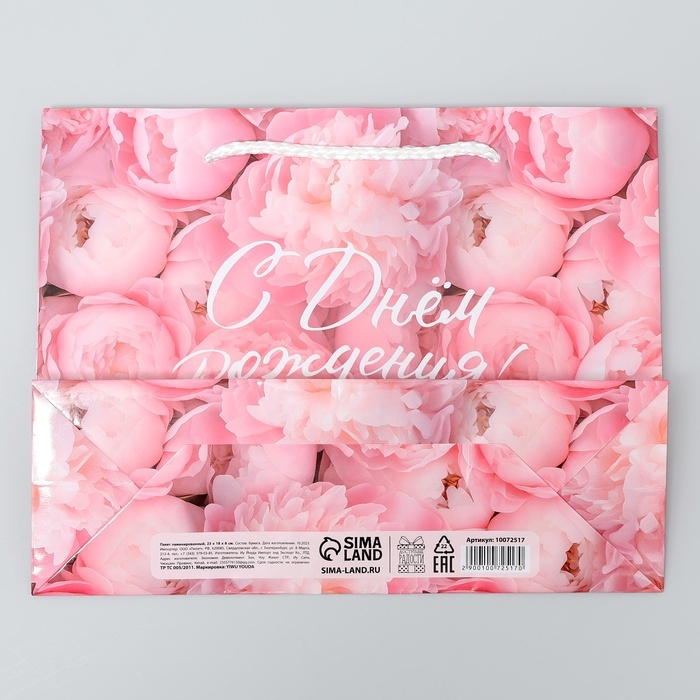 Пакет подарочный ламинированный, упаковка, &laquo;С Днём рождения!&raquo;, MS 23 х 18 х 8 см