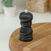 Мельница для специй Доляна «Краски», 11 см, цвет чёрный Мельница для специй Доляна «Краски», 11 см, цвет чёрный