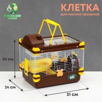 Клетка для грызунов "Пижон", 31 х 24 х 30 см, коричневая Клетка для грызунов "Пижон", 31 х 24 х 30 см, коричневая