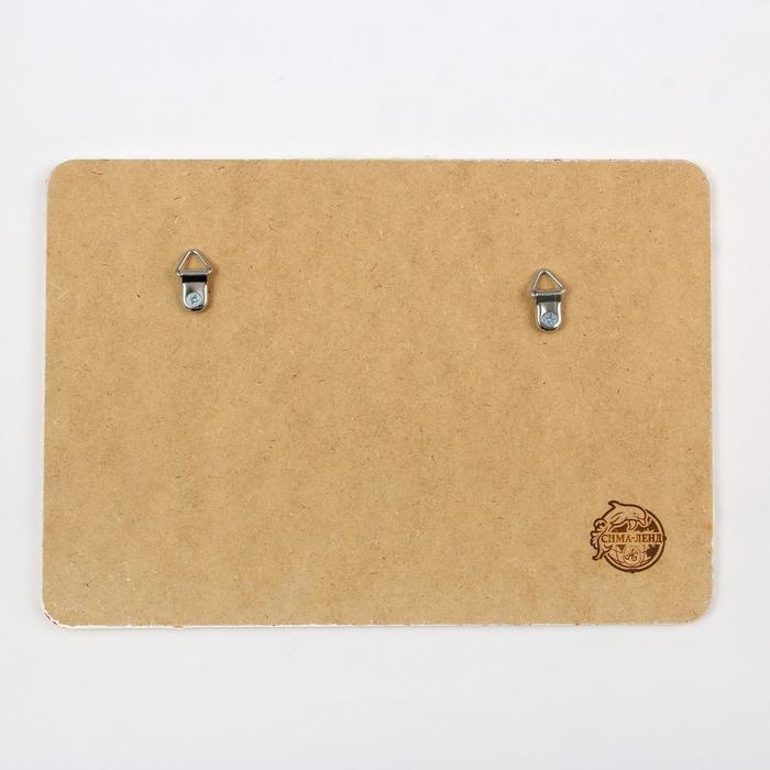 Органайзер настенный пробковый &laquo;Извини, я занята&raquo;, 26,3 х 18,3 см