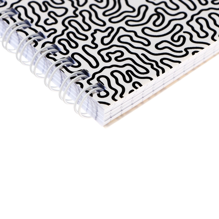 Тетрадь 96 листов в клетку на гребне Тетрадь 96 листов в клетку на гребне "Лабиринт", обложка мелованный картон, глянцевая ламинация, тиснение, блок 65 г/м2, МИКС