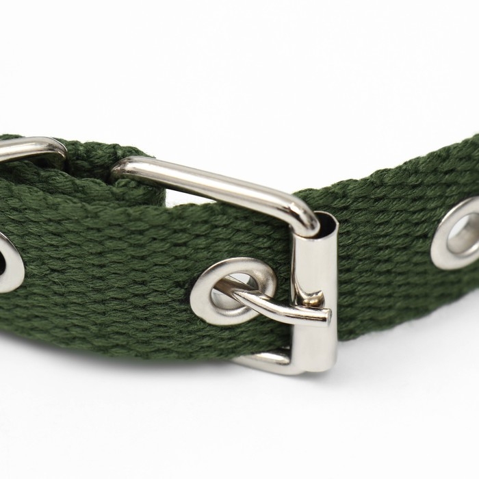 Ошейник брезентовый безразмерный однослойный, 52 х 2 см, хаки Ошейник брезентовый безразмерный однослойный, 52 х 2 см, хаки