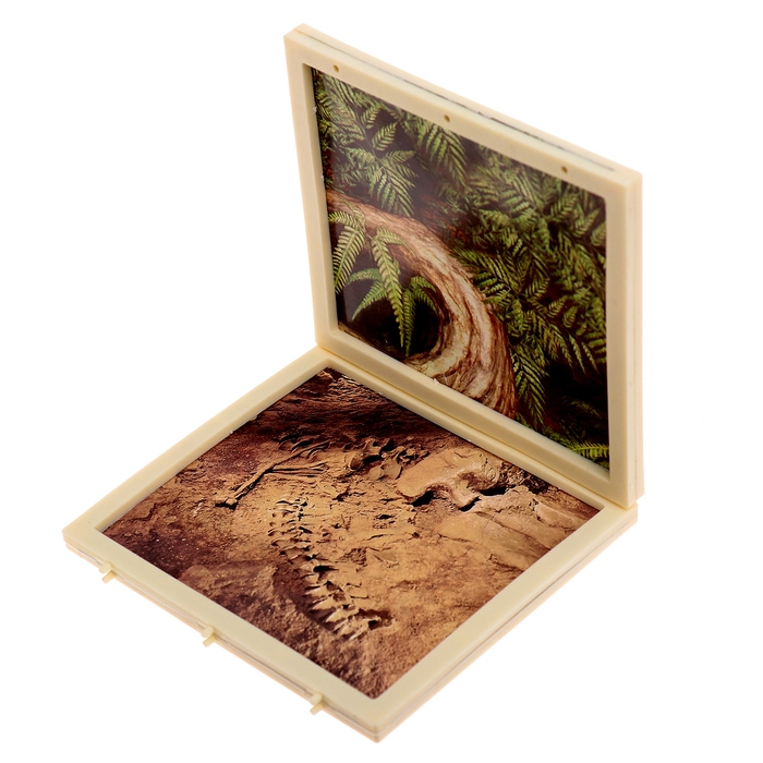 Набор для опытов «Диномир: Трицератопс», строение тела динозавра, 33 детали Набор для опытов «Диномир: Трицератопс», строение тела динозавра, 33 детали