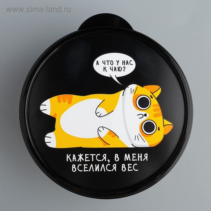 Ланч-бокс &laquo;В меня вселился вес&raquo;, 500 мл