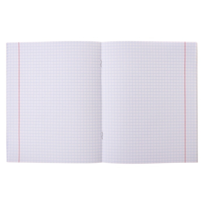 Тетрадь 48 листов в клетку Тетрадь 48 листов в клетку "Девочки", обложка мелованный картон, ВД-лак, белизна 90, блок 60г/м2, МИКС