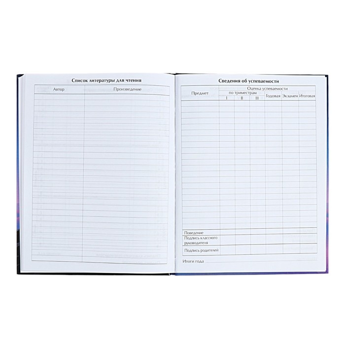 Дневник универсальный для 1-11 классов Дневник универсальный для 1-11 классов "На грани", твёрдая обложка, матовая ламинация, выборочный лак, 40 листов