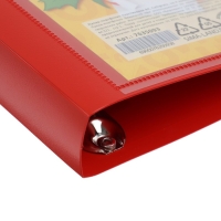 Папка-портфолио А4, Calligrata "Гимназия", пластиковая, на 4 кольцах, для школьника, без вкладышей Папка-портфолио А4, Calligrata "Гимназия", пластиковая, на 4 кольцах, для школьника, без вкладышей