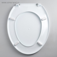 Сиденье для унитаза с крышкой Росспласт «Декор. Сакура», 46×36 см, цвет белый Сиденье для унитаза с крышкой Росспласт «Декор. Сакура», 46×36 см, цвет белый