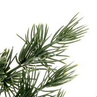 Декор &laquo;Ветвь очаровательной ели&raquo;