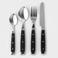 Столовые приборы из нержавеющей стали &laquo;Аппетит&raquo;, 24 предмета, цвет ручек чёрный