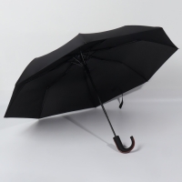 Зонт полуавтоматический «Гром», эпонж, 3 сложения, 8 спиц, R = 48/55 см, D = 110 см, цвет чёрный Зонт полуавтоматический «Гром», эпонж, 3 сложения, 8 спиц, R = 48/55 см, D = 110 см, цвет чёрный