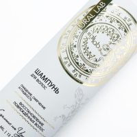 Шампунь для волос, 410 мл, восстановление повреждённых волос, BASIC LINE by URAL LAB Шампунь для волос, 410 мл, восстановление повреждённых волос, BASIC LINE by URAL LAB