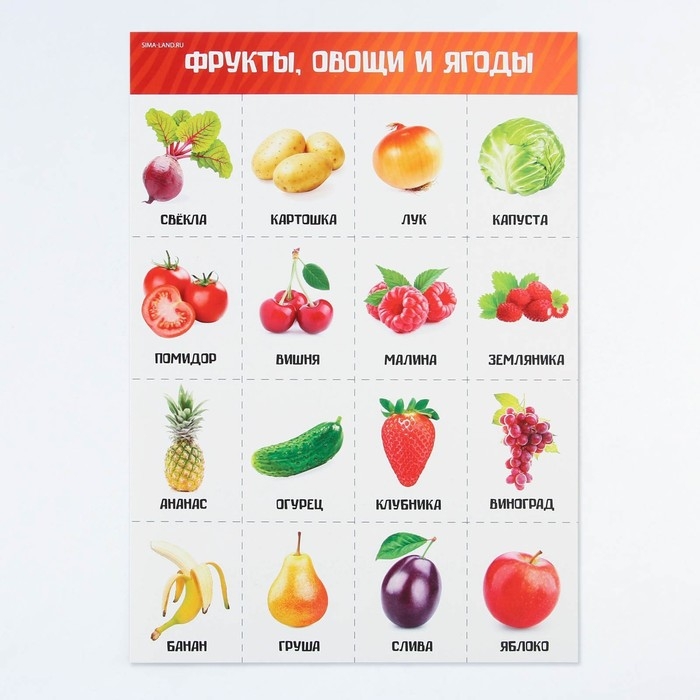 Набор обучающих плакатов «Изучаем мир», 10 в 1, А4 Набор обучающих плакатов «Изучаем мир», 10 в 1, А4