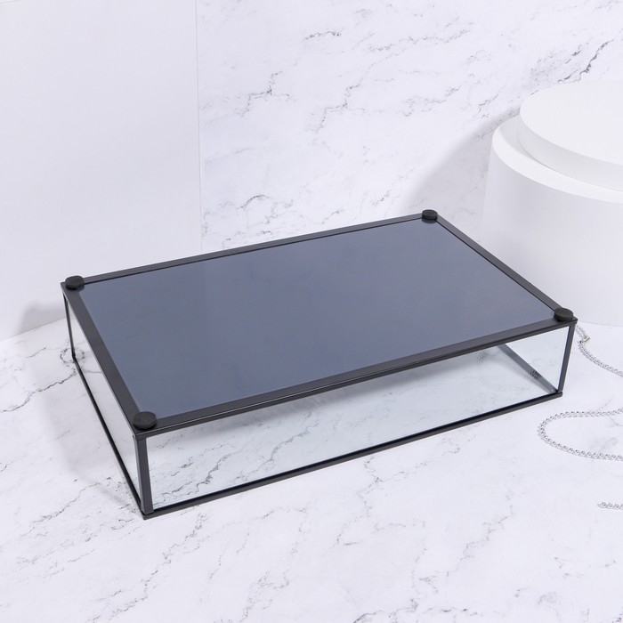 Органайзер для хранения &laquo;Square&raquo;, 1 секция, стеклянный, 29 &times; 17,5 &times; 6,5 см, цвет прозрачный/чёрный