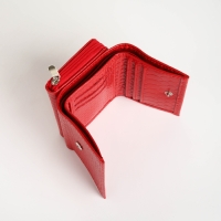 Кошелёк женский на молнии, цвет красный Кошелёк женский на молнии, цвет красный