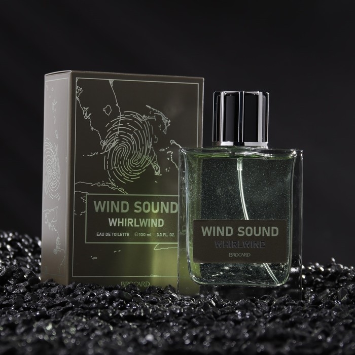 Туалетная вода мужская Туалетная вода мужская "Звук Ветра", "Смерч", 100 мл