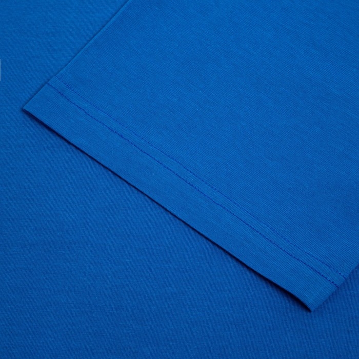 Футболка President Спорт.Гимнастика, размер L, цвет синий Футболка President Спорт.Гимнастика, размер L, цвет синий