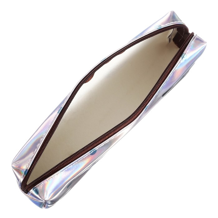 Пенал школьный, на молнии голографический Пенал школьный, на молнии голографический "Кот Серый"