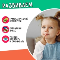 Развивающий набор &laquo;Классификация предметов&raquo;