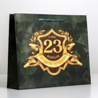 Пакет подарочный ламинированный горизонтальный, упаковка, &laquo;С 23 февраля&raquo;, ML 25х 21 х 8 см