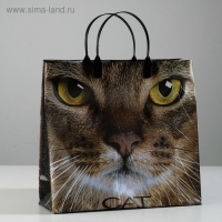 Пакет "Кэт", мягкий пластик, 30 х 30 см, 150 мкм Пакет "Кэт", мягкий пластик, 30 х 30 см, 150 мкм